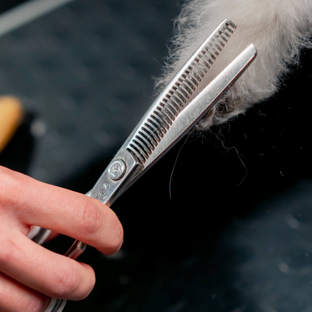 Oštrenje grooming škara