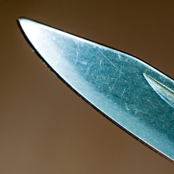 Popravak špice i sitnih oštećenja